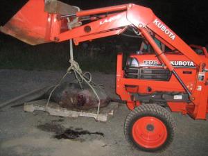Henry's tractor with the ocean sunfish on a wooden pallet. Photo taken by Dr. Catherine Hood 19/08/13 