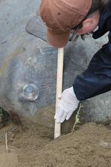 Amanda Babin taking body measurements of an ocean sunfish. Photo taken by Alex MacKinnon 20/08/13